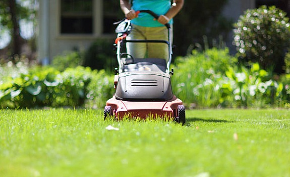 Wie Sie Ihren Rasen richtig pflegen: Ein erfahrungsbasierter Leitfaden